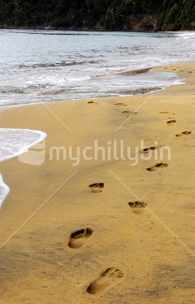 Footprints on the beach
