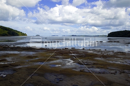 Low tide at Badleys Beach near Matakana and Tawharenui, with rocks and headland