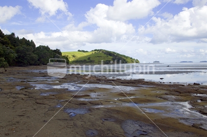 Low tide at Badleys Beach near Matakana and Tawharenui, with rocks and headland
