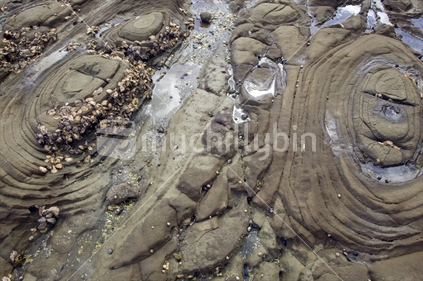 Circular patterned rocks on the foreshore
