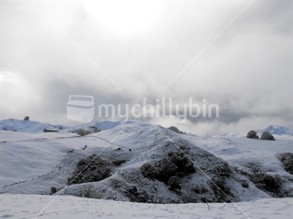 August 2011 blizzard hits the hills of Tututawa, Stratford, Taranaki.  These hills have not been hit by snow like this for over 50 years.
