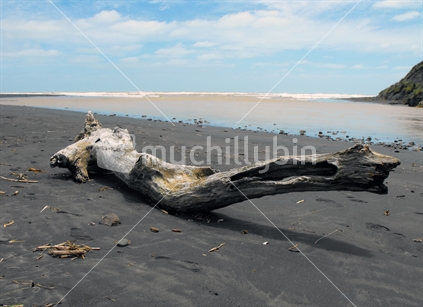 Drift wood on a black sand West Coast beach after a flood