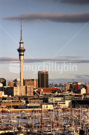 A view of the Auckland CBD overlooking Westhaven Marina as the sun begins to set