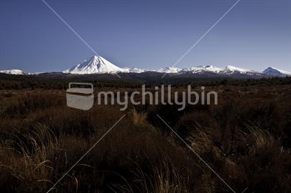 Looking across the tundra towards Mt Tongariro from the Desert Rd, New Zealand