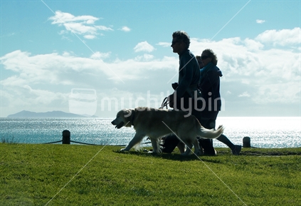 Silhouette of family and dog walking beside a beach; Tauranga, New Zealand.  