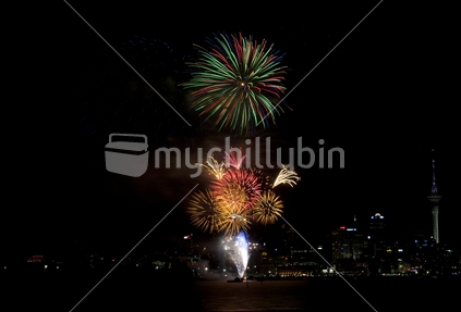 Fireworks For Auckland Anniversary Day