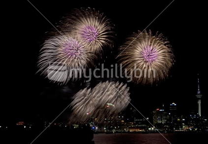 Auckland Anniversary Fireworks Display