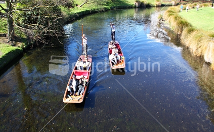 Punting on the Avon River, Christchurch, New Zealand