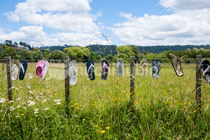 An assortment of jandals hanging on a fence in a paddock