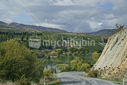 Calm reflections on Lake Dunstan, Central Otago with vineyards 