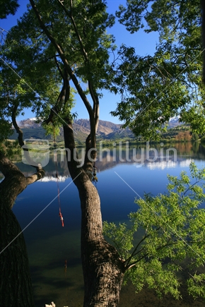 A long red swing rope tied to the branches of mature willow trees for children to swing out over Lake Hayes, Frankton, Central Otago, New Zealand