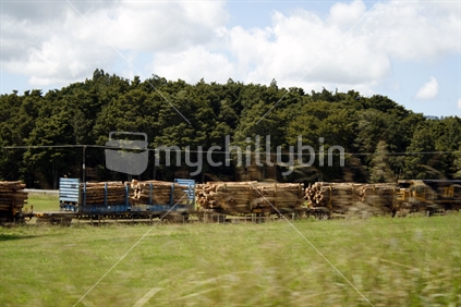Rural Northland, with a goods train travelling at speed, transporting forestry logs. North Island.