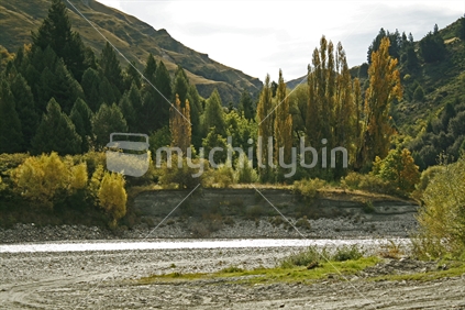 Splendid autumn colours along the banks of the Shotover River, Central Otago, New Zealand