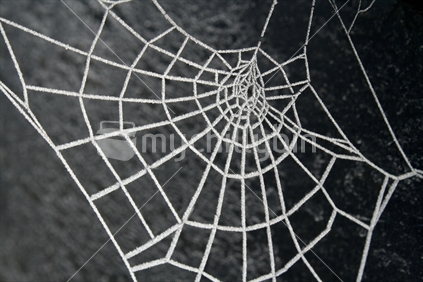 Frost crystals on a spiders web.