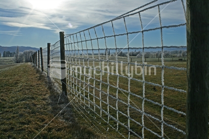 Hoar frost clinging to wire mesh of a deer fence in Central Otago, New Zealand. 