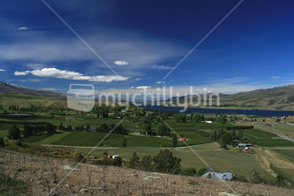 From a lookout above Cromwell, toward Lake Dunstan there are stunning views over the valley, incorporating many different wineries and orchards. New Zealand