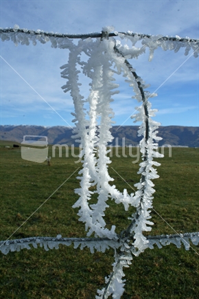 Hoar frost crystals, clinging to wire on a mesh fence.  Central Otago, New Zealand.