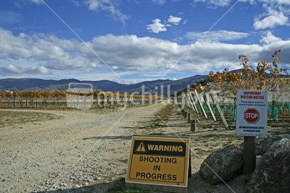 Warning and stop signs at the entrance of a vineyard, Cromwell, Central Otago. 