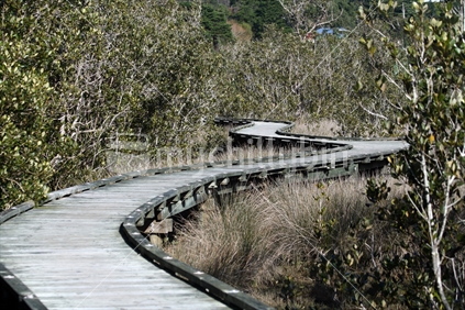 A wooden boardwalk through marshy wetland of Mangroves.