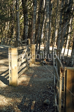 Fixed gates spaced to prevent vehicles driving to the edge of Mavora Lakes.
