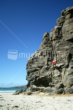 A bouldering leader climbing to set ropes for students.  Long Beach, Otago.