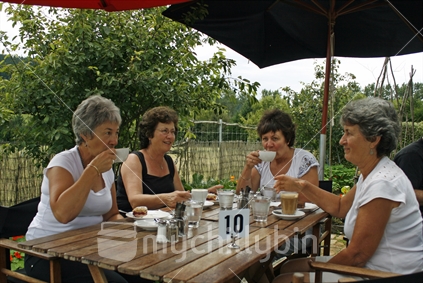 Four women, enjoying each others company, with a cup of coffee outdoors in the shade of summer sun.