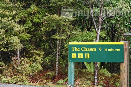 Sign to The Chasm, Milford Sound, with native bush.