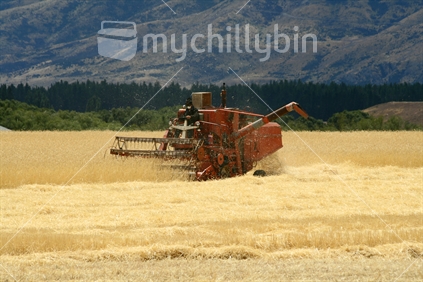 A farmer, making harvest of a ripe oates crop.