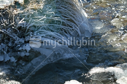 Days of hoarfrost coated grass, forming ice crystals along the rivers edge, Central Otago.