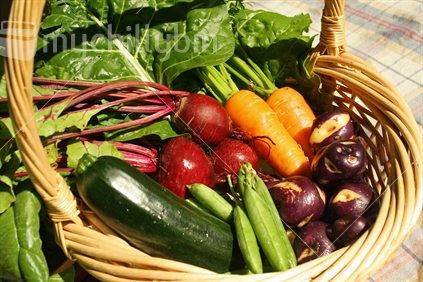 A basket of bright fresh garden vegetables.