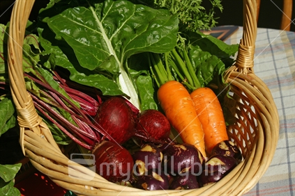 A basketful of bright fresh garden vegetables.