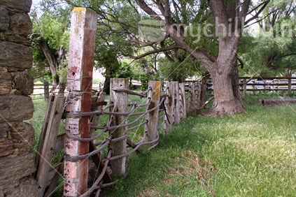 An old farmyard made with heavy posts and wire, under the shade of a large willow tree.