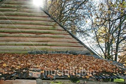 Autumn leaves lying on a corrugated roof of a verandah.