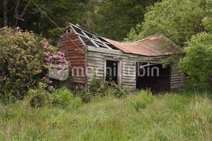 An abandoned rotting old weatherboard house with corrugated iron roof.