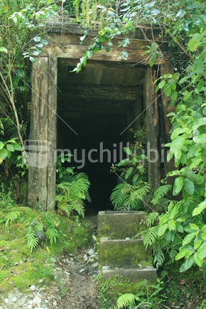The entrance to an old, now disused mineshaft almost overgrown by native bush, in Shanty Town, on the West Coast, South Island