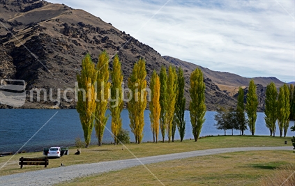 Picnic at Jacksons Point; enjoying autumn colours, at the side of Lake Dunstan, Central Otago.