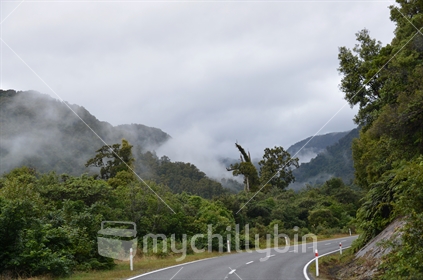 The winding sealed road through scenic bush up the main highway of the Westcoast, Southland.