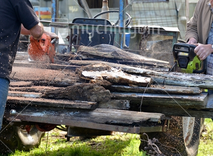 2 men, using chainsaws to cut lengths of old posts and logs on the tray of a tractor, for firewood