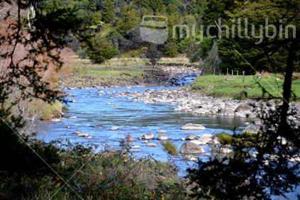 Fresh clear blue water of a meandering river Prettily framed by native totara branches.