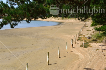 The beach fenced off from grazing land, has been overpowered by sand.