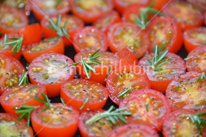 Centre focus on a tray of tomatoes cut seasoned and prepared for slow roasting.
