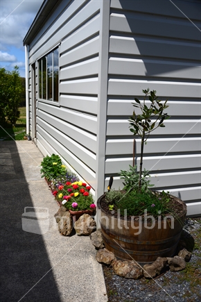 View of potted flowers and herbs growing against a sunny wall of a garage.