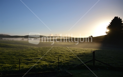 Early morning sunshine and mist shrouding rolling green farmland.