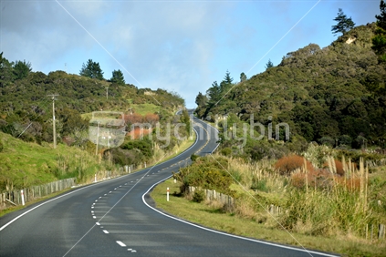 A winding country road in Northland.
