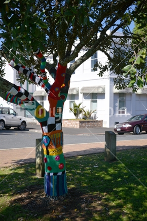 Artists knitted fabric encloses branches and trunk of a pohutukawa tree in the town basin of Whangarei CBD.