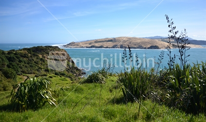 Overlooking the iconic Opononi sandhills from South Head of Hokianga harbour.
