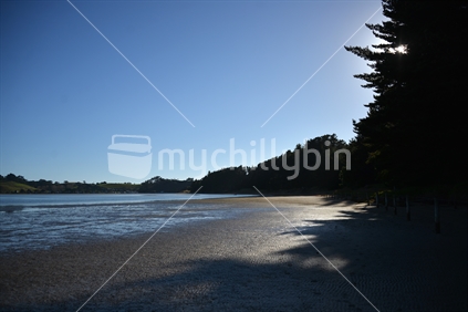 Magic of morning light casting shadows at low tide on the beach at Whananaki, Northland.