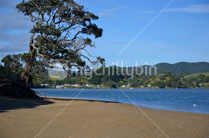 Golden sandy beach on the point of Whananaki estuary, looking toward the Northern township.