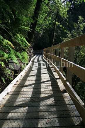 A man-made wooden boardwalk leading into native bush, wire mesh on walkway for slip prevention. New Zealand