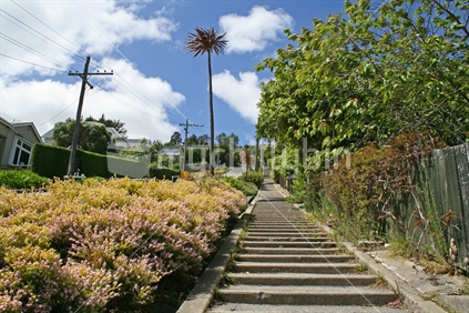 Concrete steps up and down Baldwin Street, the steepest street in the world.  Dunedin, South Island,